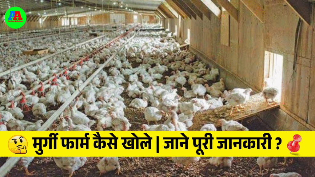 Murgi Farm Kaise Khole, मुर्गी फार्म कैसे खोले | जाने पूरी जानकारी ?