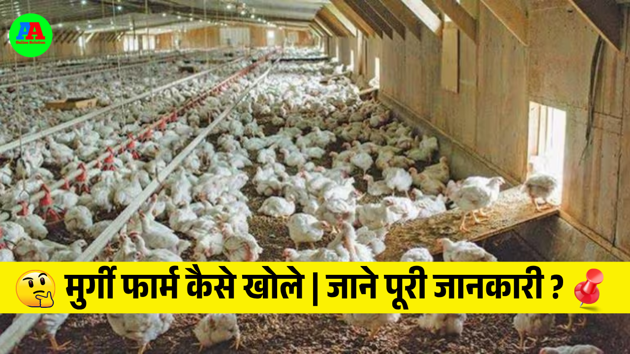 Murgi Farm Kaise Khole, मुर्गी फार्म कैसे खोले | जाने पूरी जानकारी ?