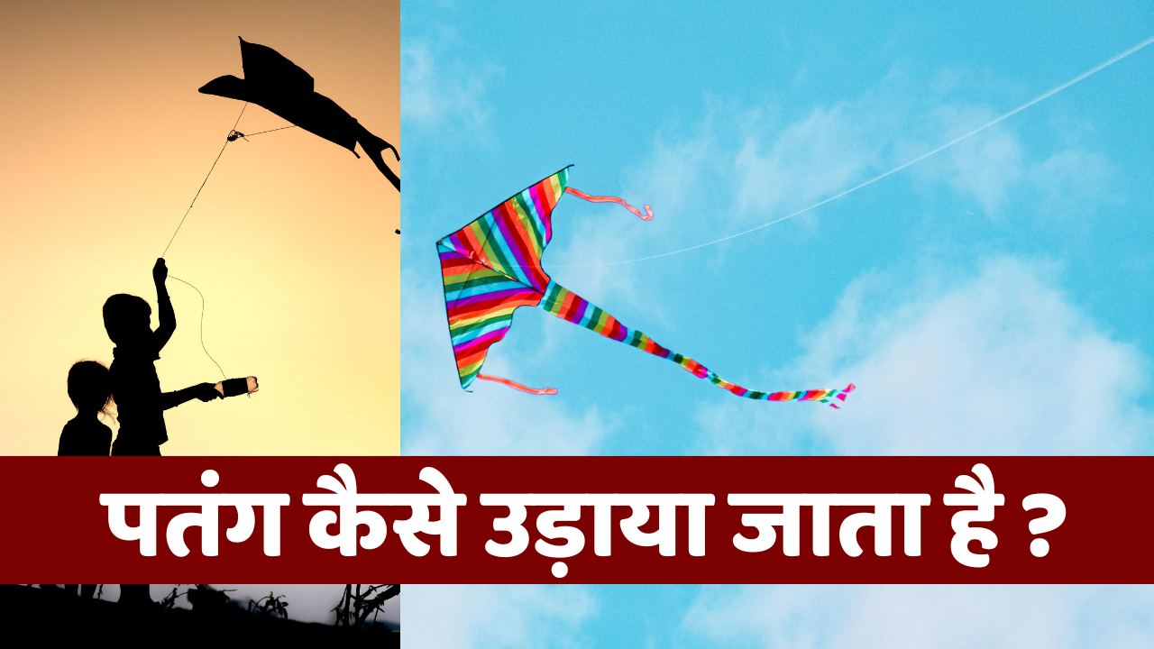 Patang Kaise Udaya jata hai | पतंग कैसे उड़ाया जाता है ?