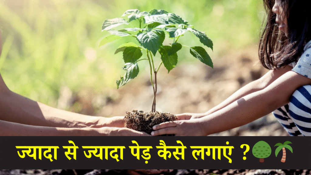 Jyada Se Jyada Ped kaise Lagaye | ज्यादा से ज्यादा पेड़ कैसे लगाएं ?
