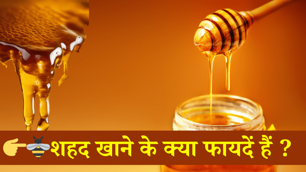 Shahad Khane Ke kya fayde hain | शहद खाने के क्या फायदें हैं ?